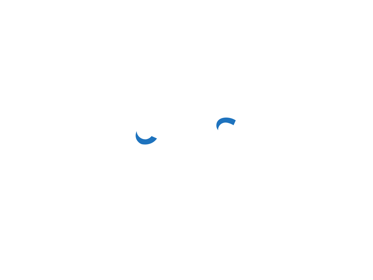 capskip logo